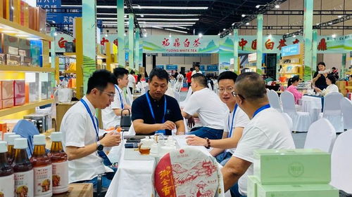 福鼎白茶香飘景德镇，34家展团亮相引关注