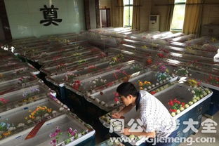 弟弟要人陪 从梦境解析到殡葬礼仪的情感深思